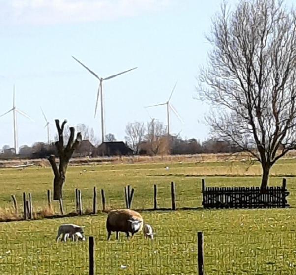 Tuinhuis Lutjewinkel Esterno foto