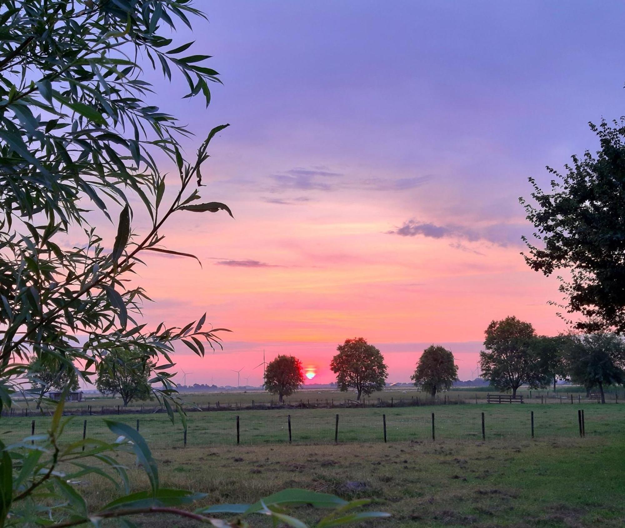 Tuinhuis Lutjewinkel Esterno foto